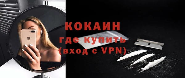 гидра Вязьма
