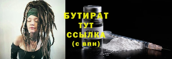 гидра Вязьма