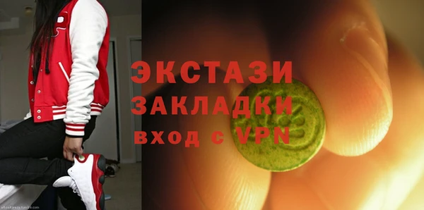 гидра Вязьма