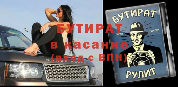гидра Вязьма