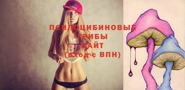 гидра Вязьма