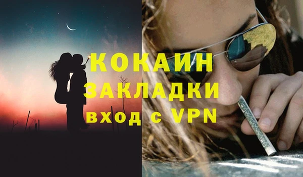 гидра Вязьма