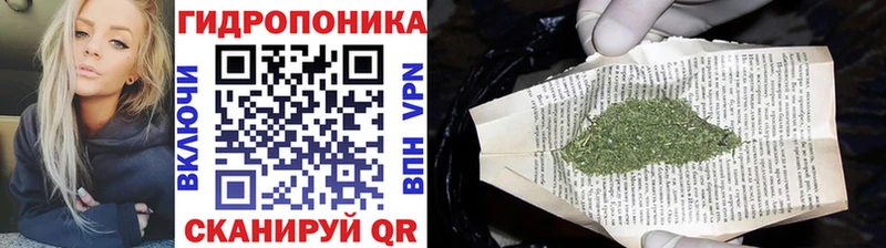 Каннабис планчик  Димитровград 